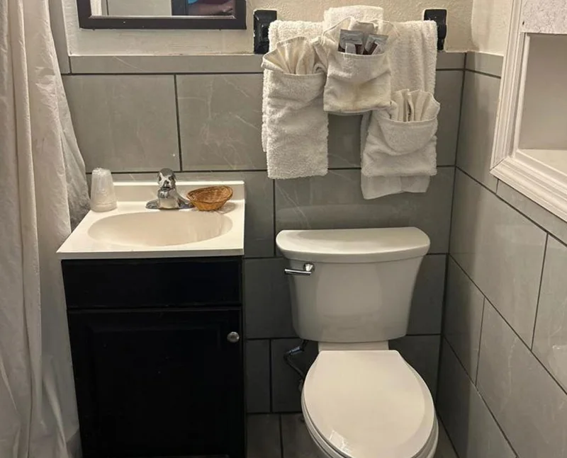 Bathroom with sink, toilet, and towels